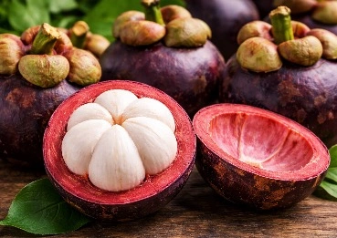 mangosteen powder