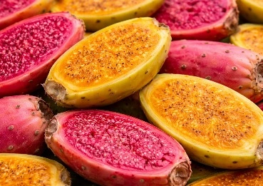 prickly pear